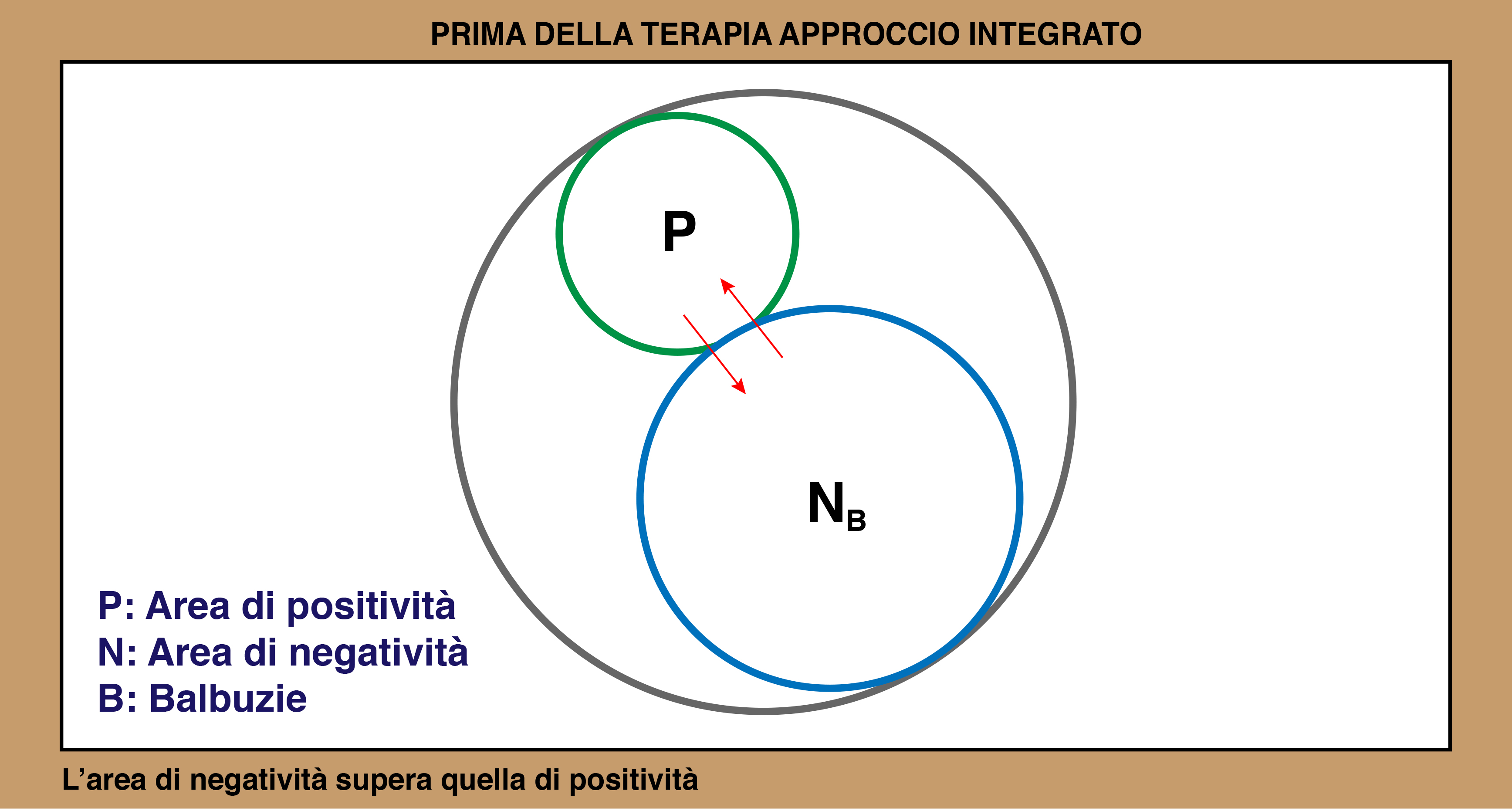 Schema approccio integrato